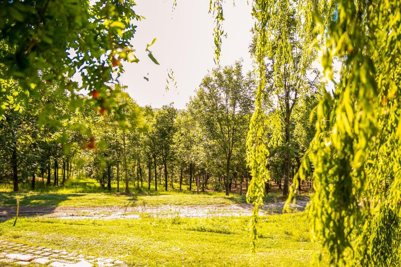 Il Podere Del Germano Reale Кориано Экстерьер фото